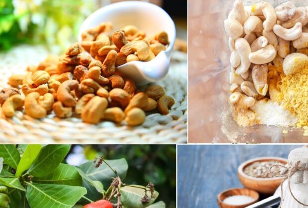 „Aurul tinereții”. Fructele uscate bogate în colagen care încetinesc îmbătrânirea și ajută la slăbit