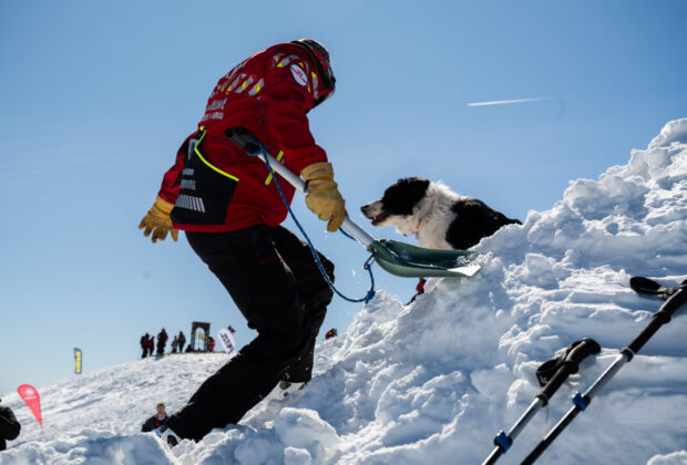 Un tânăr ucrainean a fost abandonat în stare gravă la o stână părăsită din Munţii Maramureşului