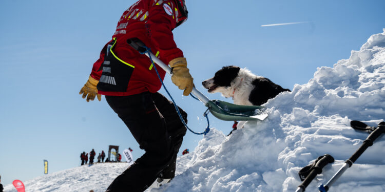Un tânăr ucrainean a fost abandonat în stare gravă la o stână părăsită din Munţii Maramureşului