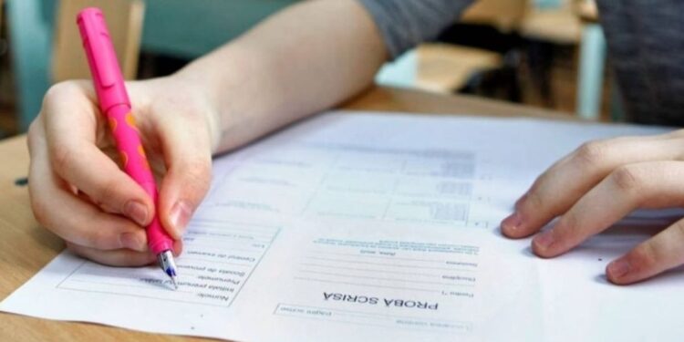 Simulare Evaluare Națională 2025. Subiectele la Limba română. Un profesor explică în ce capcană ar fi putut să cadă copiii: „Cu greu se va lua nota 10”