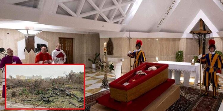 Omagiu. Sicriul Papei Francisc a fost făcut cu lemn din copaci tăiați în IOR