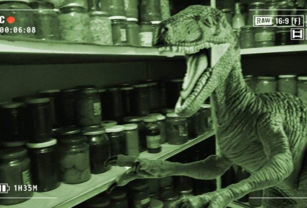 Pensiunile din Haţeg, terorizate de un dinozaur care intră în cămară şi fură borcane