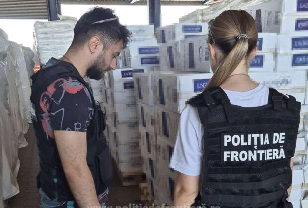Captură de peste 8 milioane de lei. Ce au descoperit polițiștii într-un container care trebuia să conțină scobitori