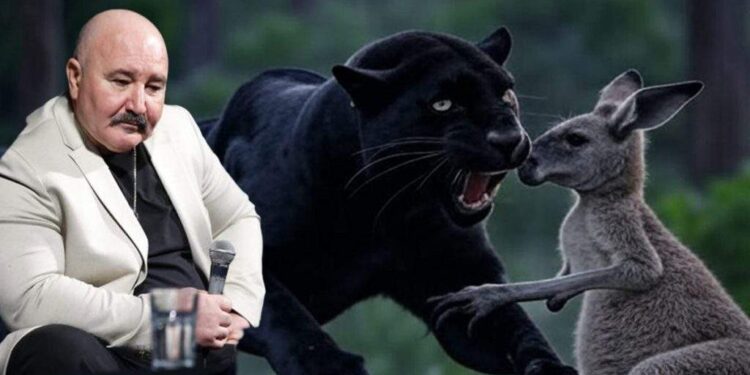 Prăpăd! Pantera din Bulgaria i-a mâncat cangurii lui Nuțu Cămătaru