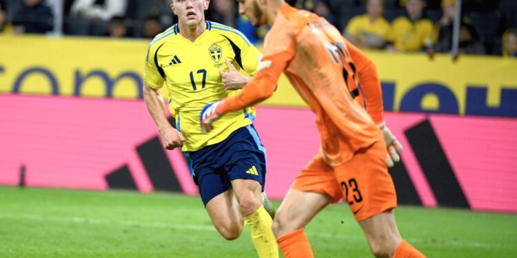 Dinamo vrea să-și betoneze poarta cu un titular de națională