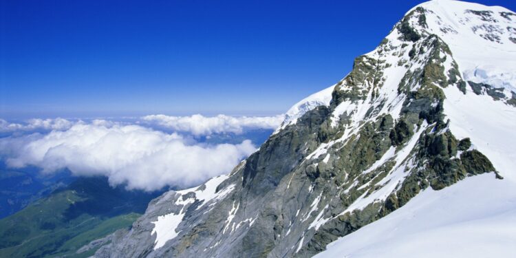 Un chihuahua a devenit erou în Alpi. Și-a salvat stăpânul căzut într-o prăpastie de 8 metri