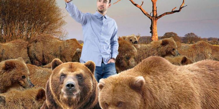 Pedepse dure! Șoferii care opresc să filmeze urși vor avea Tik Tok-ul suspendat șase luni