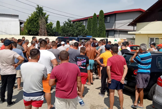 Revoltă la Lungulețu: Agricultor ridicat de poliție pentru că a udat cultura de varză cu apă din Dâmbovița / foto în articol