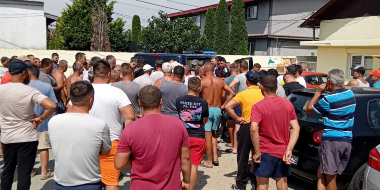 Revoltă la Lungulețu: Agricultor ridicat de poliție pentru că a udat cultura de varză cu apă din Dâmbovița / foto în articol