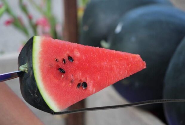 Acum UE ne obligă să legăm și dopul de la pepeni