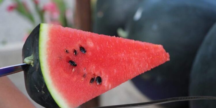 Acum UE ne obligă să legăm și dopul de la pepeni