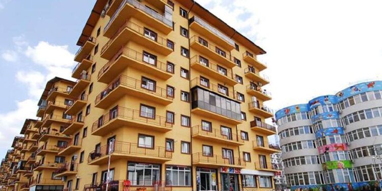 Miracol! Pe locul unui copac doborât de vânt a răsărit un ansamblu imobiliar