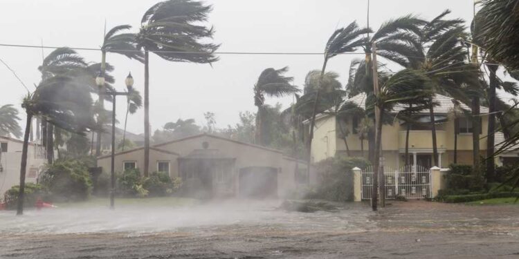 Zvon în online: Andi Moisescu a dat drumul la o râgâială de mici pe care o ţinea de 20 de ani