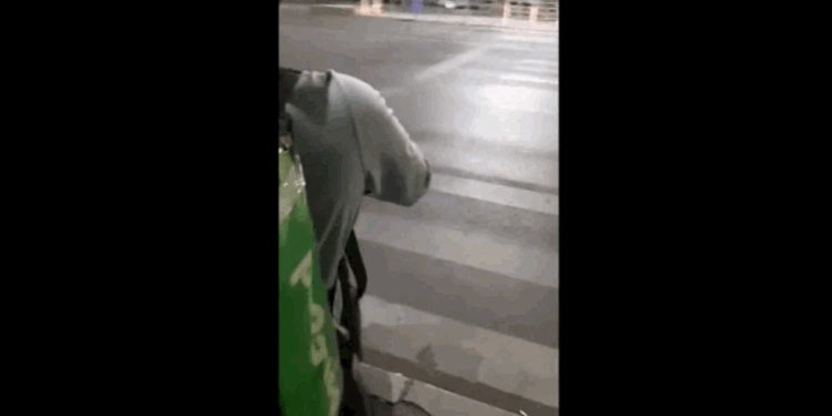 Cum explică un psiholog atacul asupra livratorului nepalez