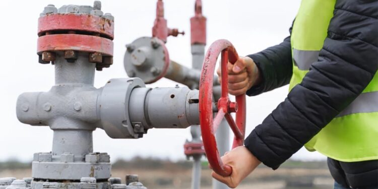 „Vor fi furnizate dovezi care să arate țara unde au fost produse gazele naturale”. Cum vrea UE să pună în aplicare interdicția vizând Rusia