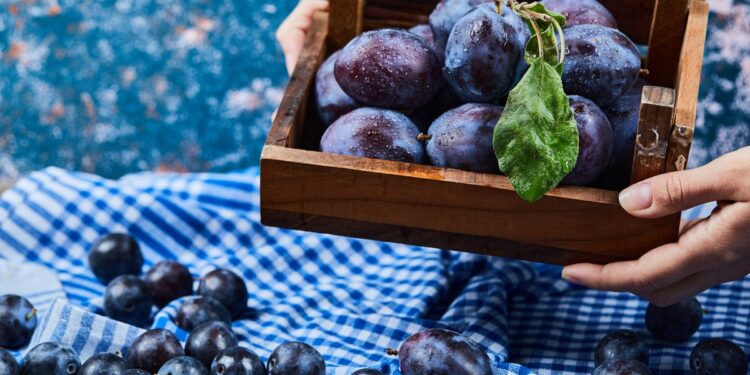 România, adevărata patrie a prunelor. Beneficiile imense pentru sănătate ale fructelor zemoase ale toamnei