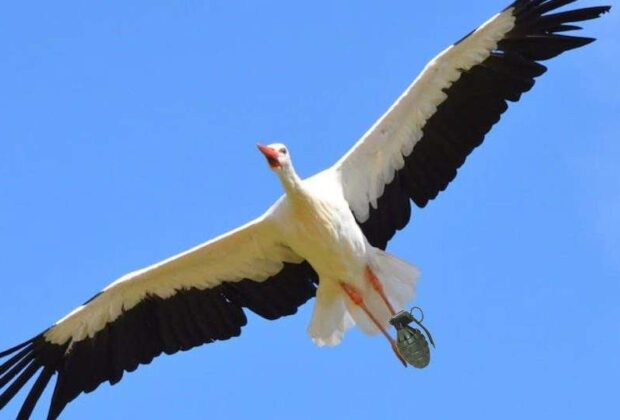 Scandal. Dronele militare livrate de România sunt berze cu grenade legate de picioare