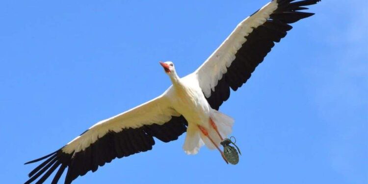 Scandal. Dronele militare livrate de România sunt berze cu grenade legate de picioare