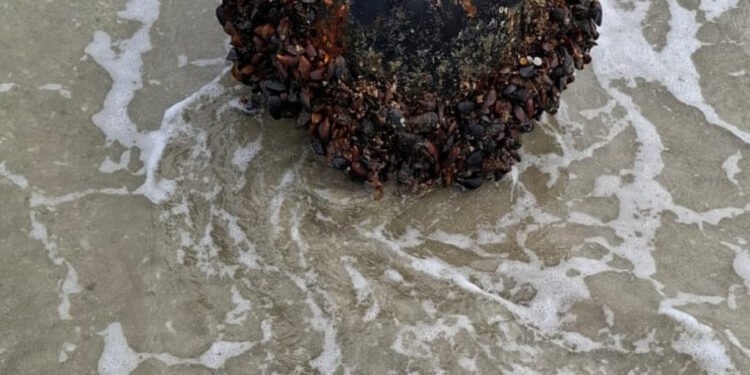 Mina marină descoperită la Vadu a fost neutralizată