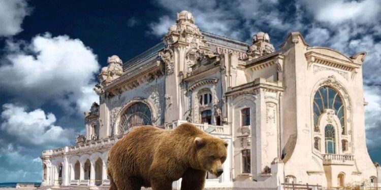 Panică la Constanţa după ce un angajat ISU a auzit că vine Ursula şi a dat Ro-Alert de urs