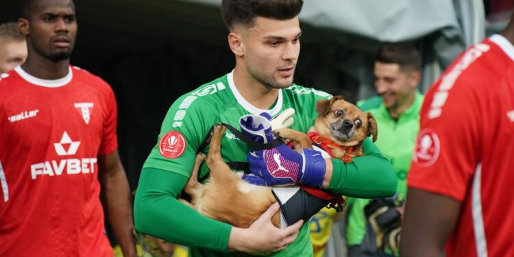 Robert Popa revine în Superliga României!