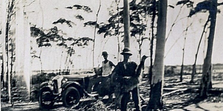 Cele mai bizare și penibile războaie din istoria umanității. Când armatele au fost învinse de păsări și găleți