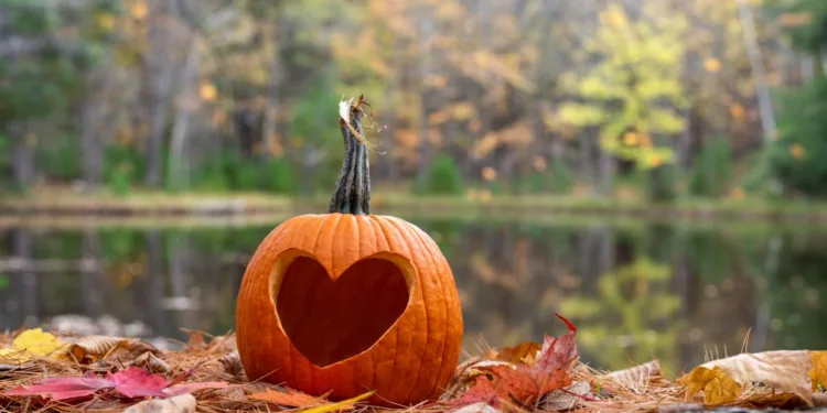 Horoscop octombrie 2025 pentru Berbec, Taur, Gemeni, Rac, Leu și Fecioară