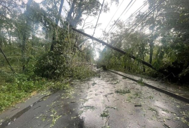 VIDEO FOTO Vremea extremă a făcut prăpăd în mai multe zone din țară, inclusiv în Capitală: ninsori, copaci doborâți de vânt, drumuri blocate și mașini avariate