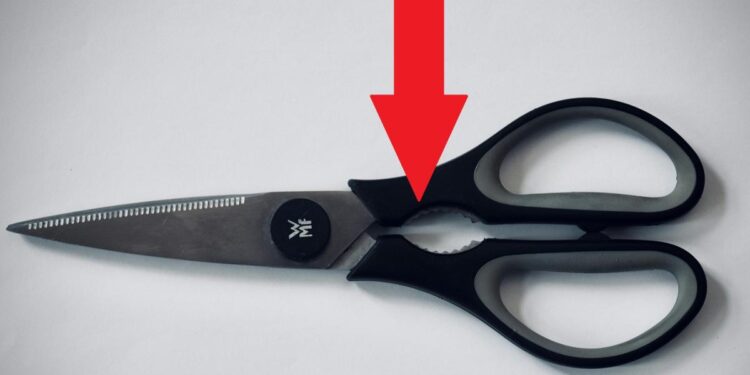 La ce folosesc zimții metalici dintre mânerele foarfecii de bucătărie? Oamenii sunt complet uimiți