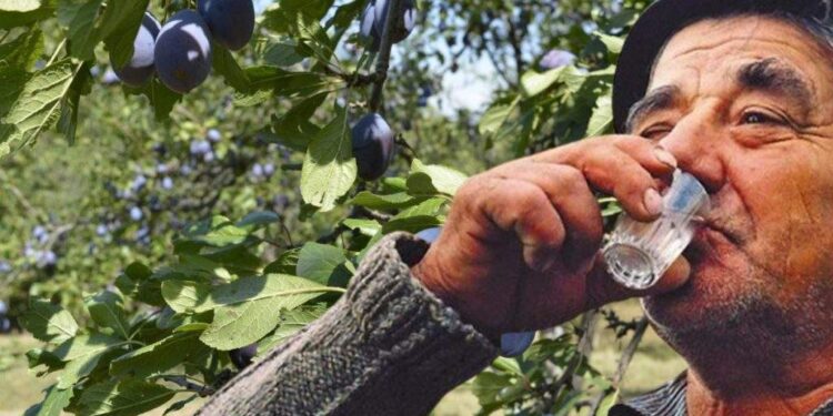 În sfârșit! Codul Penal adoptă prunicidul – când faci din prune magiun în loc de pălincă