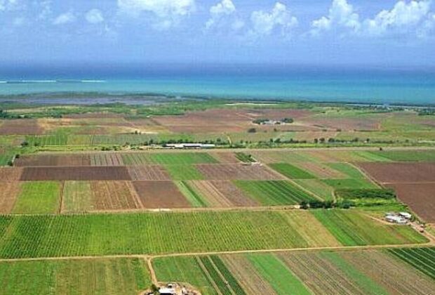 Lovitură pentru agricultori: crește cu 140% baza de impozitare a terenurilor