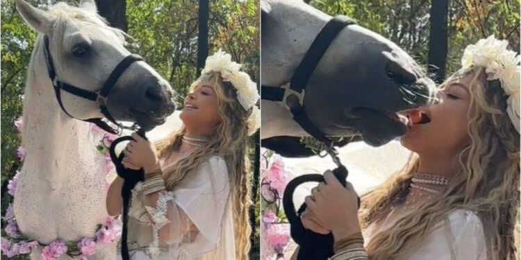 Penibil. Iar am trimis o prostie de film la Oscar, în loc să-l trimitem pe ăla în care Loredana se pupă cu un cal