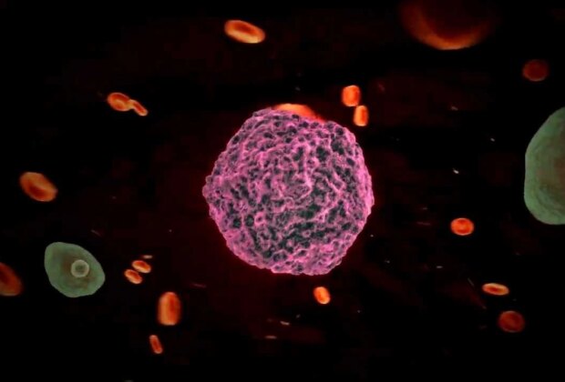 Revine febra tifoidă? O tulpină rezistentă a ceea ce se credea a fi ‘boala vremurilor de demult’ se răspândește din nou pe glob. Cercetătorii au lansat deja avertismente