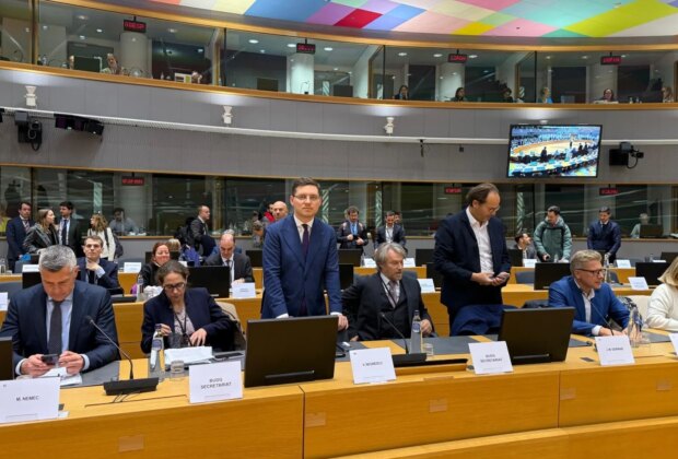 VIDEO Negrescu avertizează în Parlamentul European: România are nevoie de sprijin european pentru a opri tentativa de fraudare a identității