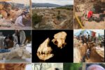 Neanderthalienii, vânători de femei și copii? Descoperirile șocante care scot la iveală o realitate cruntă a Europei preistorice