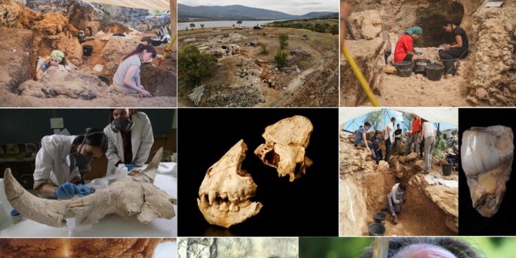 Neanderthalienii, vânători de femei și copii? Descoperirile șocante care scot la iveală o realitate cruntă a Europei preistorice