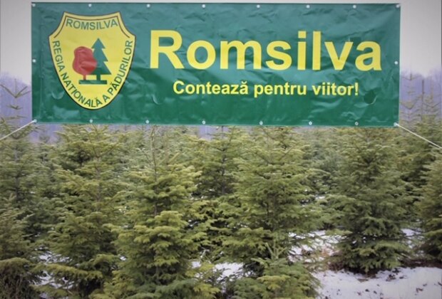 Venituri de aproape şapte milioane de euro din valorificarea produselor nelemnoase, vânătoare şi salmonicultură, la 11 luni pentru Romsilva