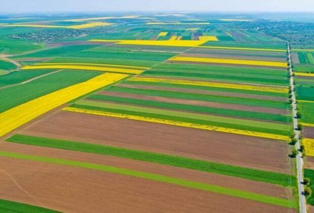 Cum a ajuns pământul agricol din România mai scump decât în Franța