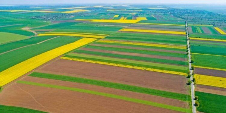 Cum a ajuns pământul agricol din România mai scump decât în Franța