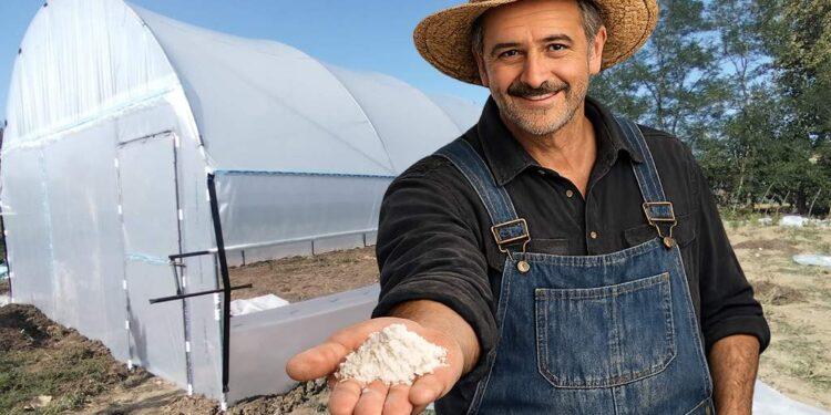 Adio, cocaină de Lunguleţu! Fermierii se tem că piaţa va fi inundată de marfă ieftină din America de Sud