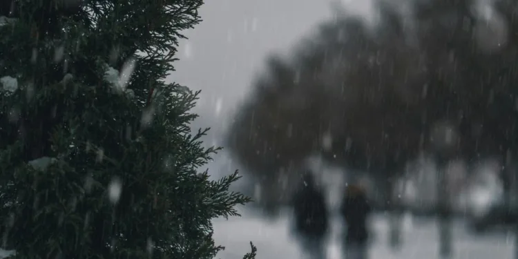Alertă meteo de Cod Galben de ger. Harta ANM cu zonele vizate. Vremea în București