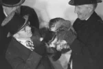 Celebra marmotă care ‘prezice’ vremea și-a văzut umbra de Ziua Cârtiței. Cât ar mai dura iarna