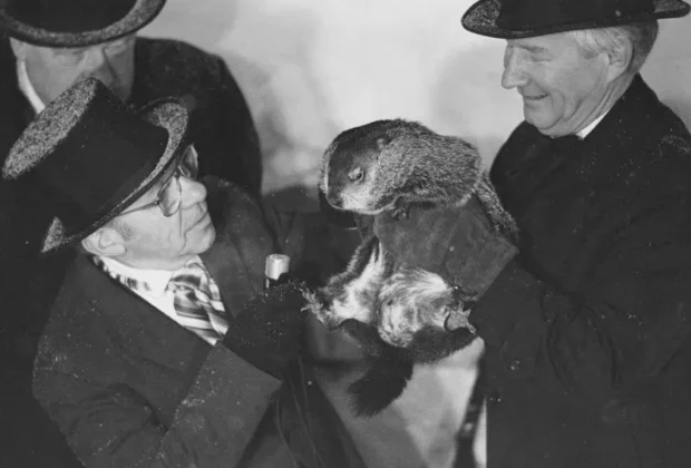Celebra marmotă care ‘prezice’ vremea și-a văzut umbra de Ziua Cârtiței. Cât ar mai dura iarna