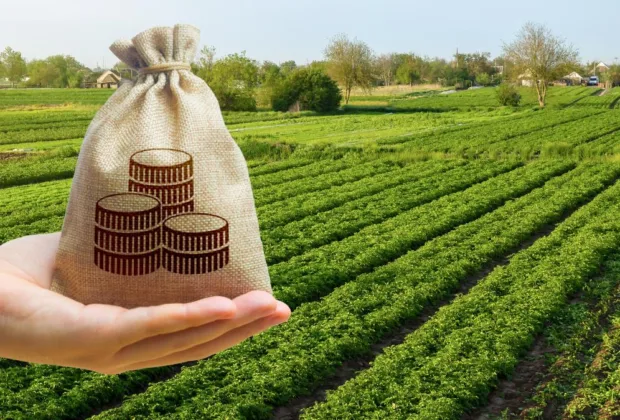 O companie olandeză vrea să plece din România. A scos la vânzare 800 de hectare de terenuri agricole și o fabrică în zona Sebeș