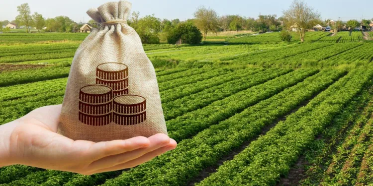O companie olandeză vrea să plece din România. A scos la vânzare 800 de hectare de terenuri agricole și o fabrică în zona Sebeș
