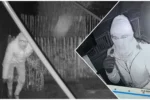 Au furat ‘aur cu aripi’ de peste 2 milioane de euro: Condamnări-record la închisoare pentru românii din dosarul ‘campionilor dispăruți’ și despăgubiri uriașe