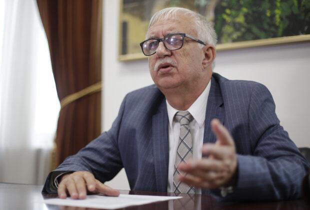 „Va dura cam doi ani amânarea”. Un fost președinte CCR explică ce se întâmpla dacă demersul ÎCCJ are succes