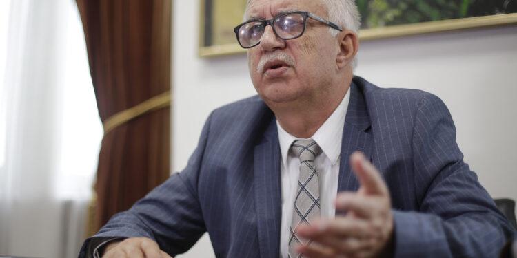 „Va dura cam doi ani amânarea”. Un fost președinte CCR explică ce se întâmpla dacă demersul ÎCCJ are succes