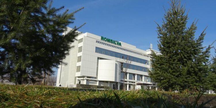 Numărul directorilor din Romsilva, redus la jumătate / Fără „operatori de xerox” în direcțiile silvice