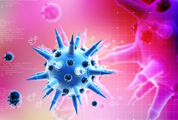 National Public Health Institute: One flu-related death in the week of Feb 23